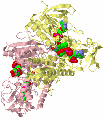 Image Biological Unit 2