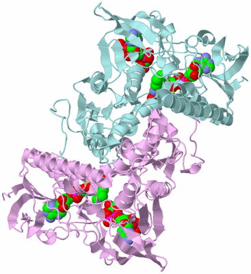 Image Biological Unit 3