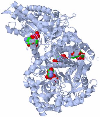 Image Biological Unit 1