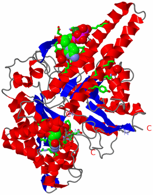 Image Asym. Unit - sites