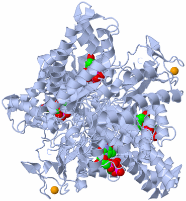 Image Biological Unit 1