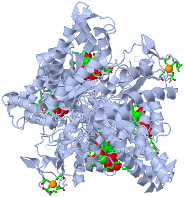 Image Biol. Unit 1 - sites