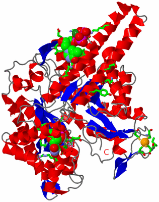 Image Asym. Unit - sites