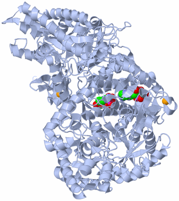 Image Biological Unit 1