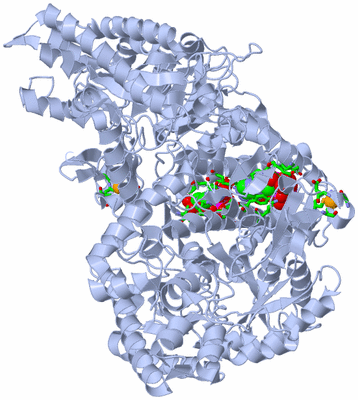 Image Biol. Unit 1 - sites