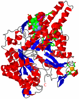 Image Asym. Unit - sites