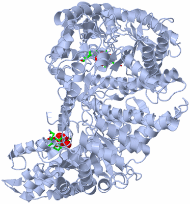 Image Biol. Unit 1 - sites