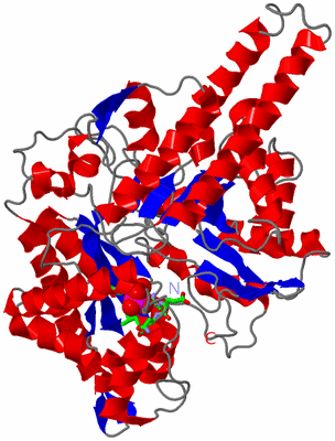 Image Asym. Unit - sites