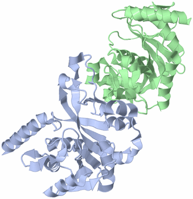 Image Asym./Biol. Unit