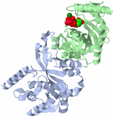 Image Asym./Biol. Unit