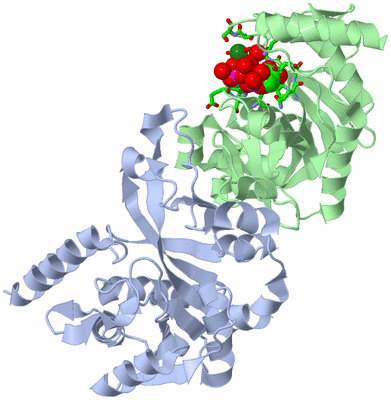 Image Asym./Biol. Unit - sites