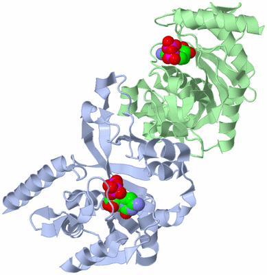 Image Asym./Biol. Unit