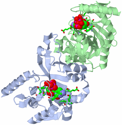 Image Asym./Biol. Unit - sites