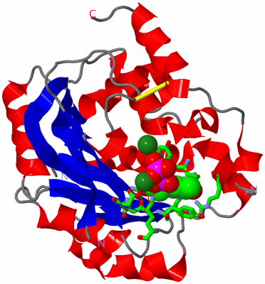 Image Asym./Biol. Unit - sites