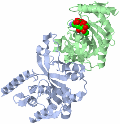 Image Asym./Biol. Unit