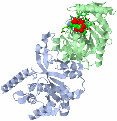 Image Asym./Biol. Unit - sites