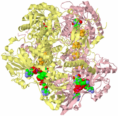 Image Biological Unit 2