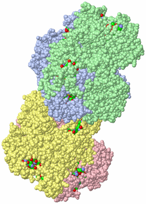 Image Asym. Unit - sites