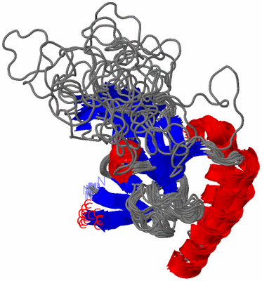 Image NMR Structure - all models