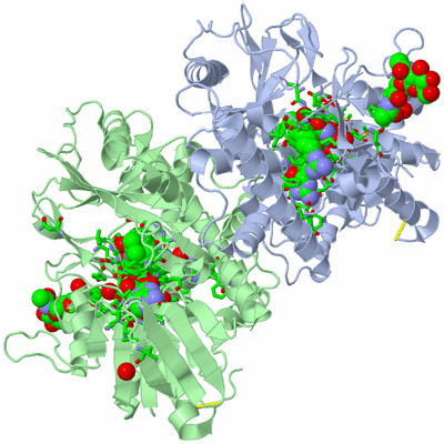 Image Biol. Unit 1 - sites