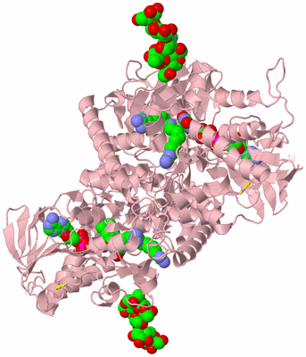 Image Biological Unit 2