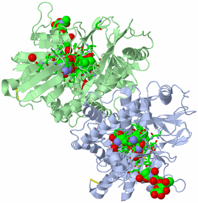 Image Biol. Unit 1 - sites