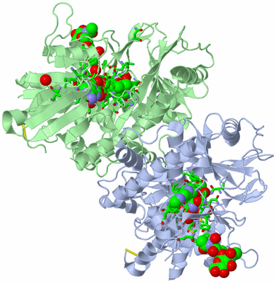 Image Biol. Unit 1 - sites