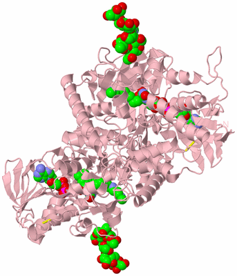 Image Biological Unit 2