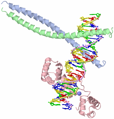 Image Asym./Biol. Unit