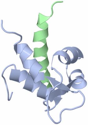 Image NMR Structure - model 1