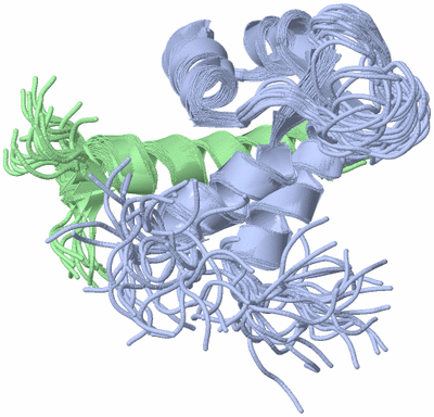 Image NMR Structure - all models