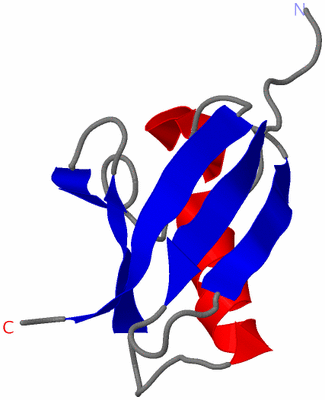 Image NMR Structure - model 1