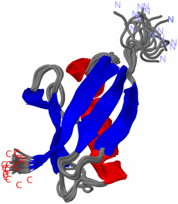 Image NMR Structure - all models