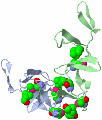 Image Asymmetric Unit