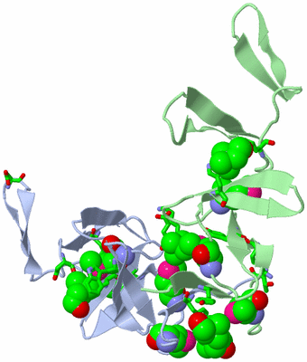 Image Asym. Unit - sites