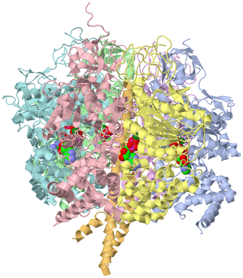 Image Asym./Biol. Unit