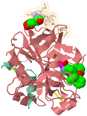 Image Asym./Biol. Unit