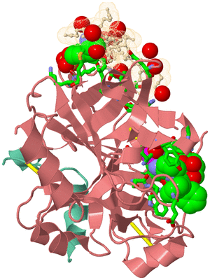 Image Asym./Biol. Unit - sites