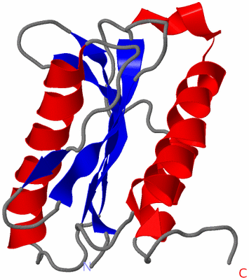Image NMR Structure - model 1