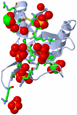 Image Biol. Unit 1 - sites