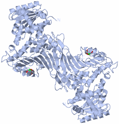 Image Biological Unit 1