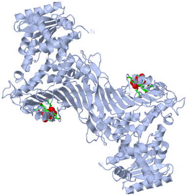 Image Biol. Unit 1 - sites