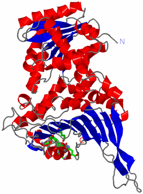 Image Asym. Unit - sites