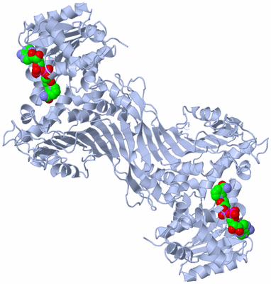 Image Biological Unit 1