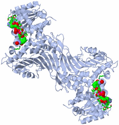 Image Biol. Unit 1 - sites