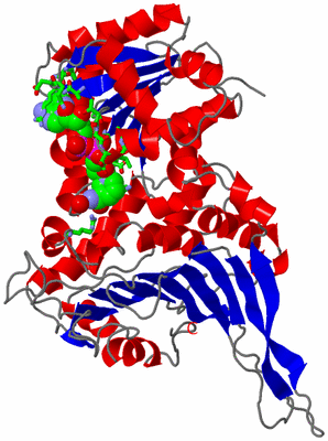 Image Asym. Unit - sites