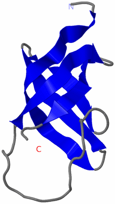 Image NMR Structure - model 1