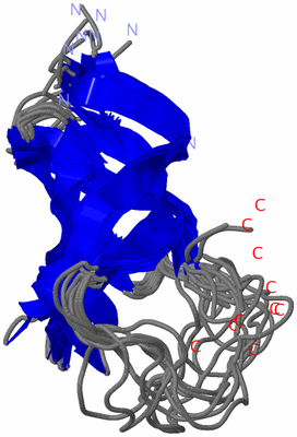 Image NMR Structure - all models