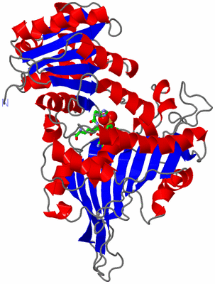 Image Asym. Unit - sites