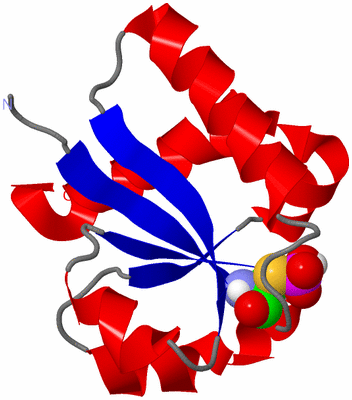 Image NMR Structure - model 1